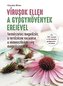 Vírusok ellen a gyógynovények erejével