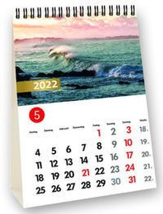 Table \"Meeresrauschen 2022\"