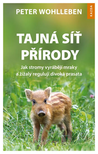 Tajná síť přírody - Jak stromy vyrábějí mraky a žížaly regulují divoká prasata