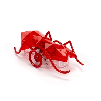 HEXBUG Micro Ant - červený