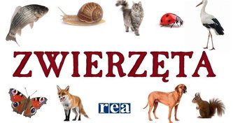 Zwierzęta rozkładanka