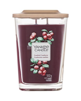 YANKEE CANDLE Candied Cranberry svíčka 553g / 2knoty