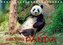Niedlicher Panda (Tischkalender 2022 DIN A5 quer)