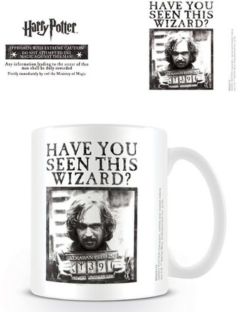 Keramický hrnek Harry Potter: Wanted (objem 315 ml)
