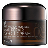 Mizon Pleťový krém s filtrátem hlemýždího sekretu 60% pro problematickou pleť (Snail Repair Perfect Cream) 50 ml woman