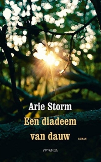 ARIE STORM