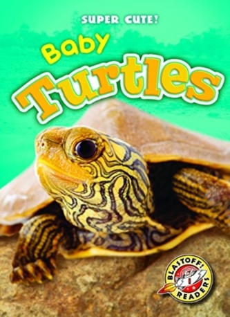 BABY TURTLES