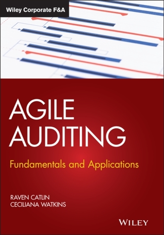Agile Auditing
