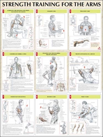 Strength Training for the Arms