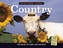 The 2022 Old Farmer's Almanac Country Calendar
