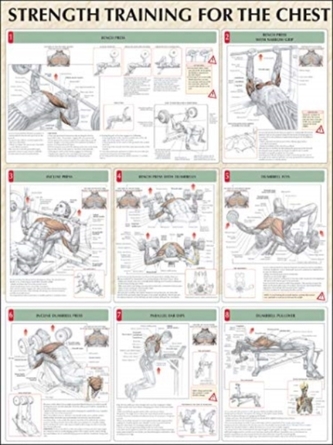 Strength Training for the Chest