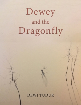 Dewey and the Dragonfly