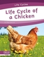Life Cycles: Life Cycle of a Chicken