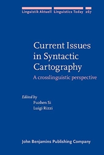 Current Issues in Syntactic Cartography