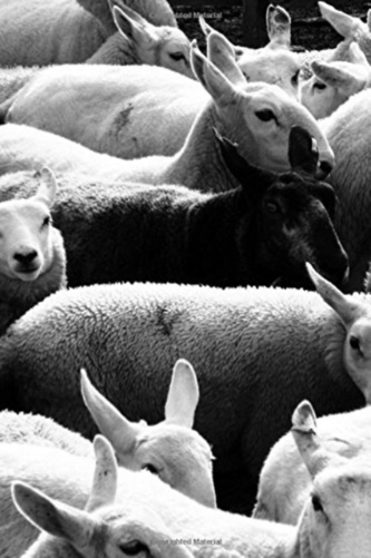 BLACK SHEEP OF THE FAMILY JOUR