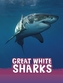 Great White Sharks