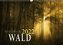Mysterium Wald (Wandkalender 2022 DIN A3 quer)