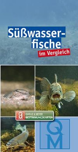 Süßwasserfische