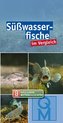 Süßwasserfische