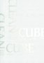 CLEAN CUBE