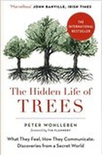 Hidden Life of Trees