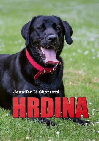 Hrdina Hrdina