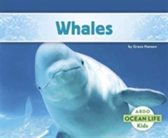 Whales