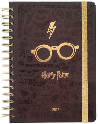 Plánovací týdenní diář A5 2022 Harry Potter: Logo (14,8 x 21 cm)