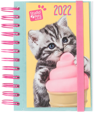 Plánovací denní diář 2022 Studio Pets: Koťata (11,4 x 16 cm)