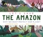 Let's Save the Amazon: Why we must protect our planet