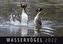 Wasservögel 2022
