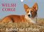 Welsh Corgi - Kobold auf 4 Pfoten (Wandkalender 2022 DIN A4 quer)