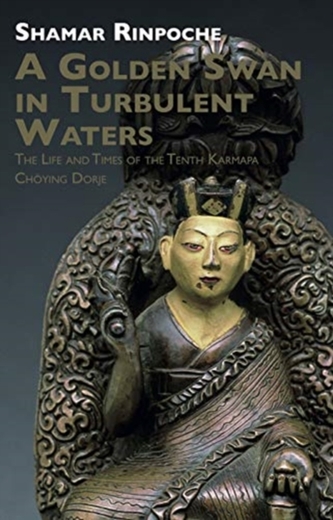 A Golden Swan in Turbulent Waters