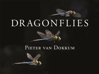 Dragonflies