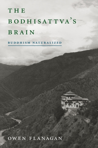 The Bodhisattva's Brain
