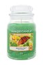 YANKEE CANDLE Beautiful Day svíčka 623g