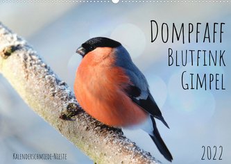 Dompfaff, Blutfink, Gimpel (Wandkalender 2022 DIN A2 quer)