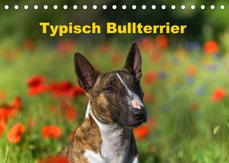 Typisch Bullterrier (Tischkalender 2022 DIN A5 quer)