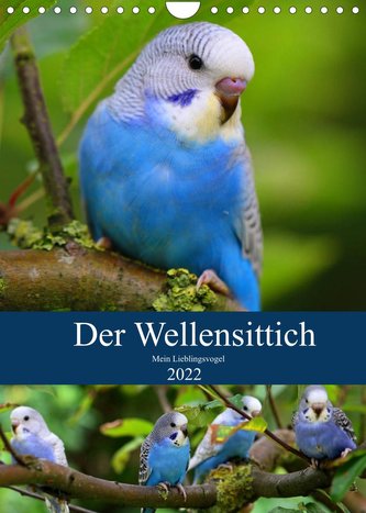 Der Wellensittich - Mein Lieblingsvogel (Wandkalender 2022 DIN A4 hoch)