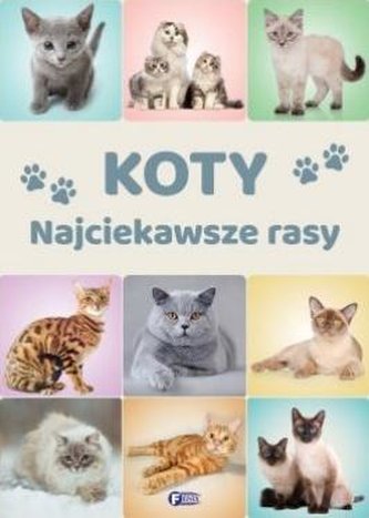 Koty Najciekawsze rasy