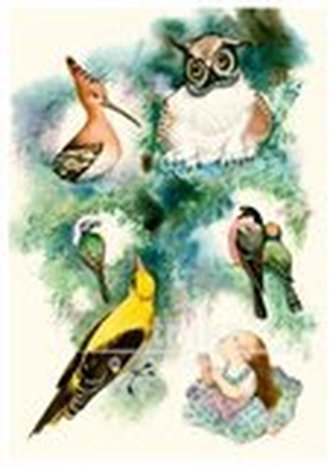 Pohlednice - Květuška, ptáčci