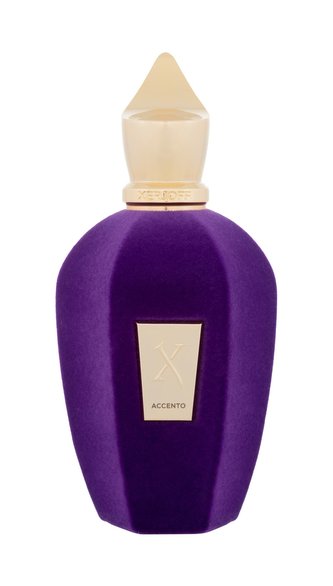 XerJoff Accento - EDP 100 ml unisex