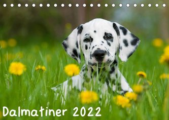 Dalmatiner 2022 (Tischkalender 2022 DIN A5 quer)