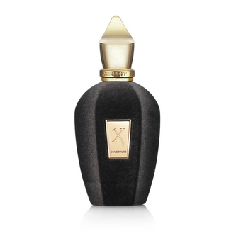 XerJoff Ouverture - EDP 100 ml unisex
