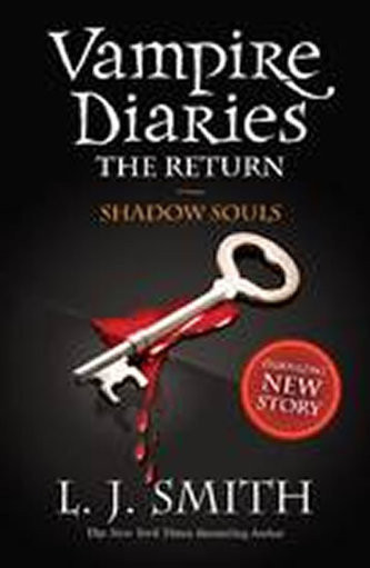 VD Return: Shadow Souls