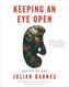 Keeping an Eye Open: Essays on Art