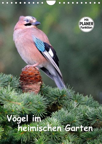 Vögel im heimischen Garten (Wandkalender 2022 DIN A4 hoch)
