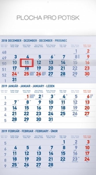 3 mesačný štandard mod- nástěnný kalendář 2019
