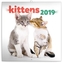 Poznámkový kalendář Koťata 2019