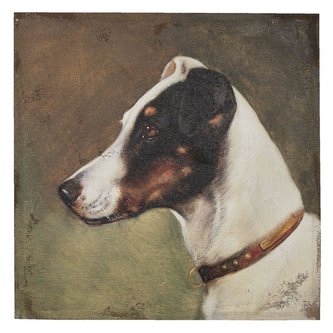 Obraz na plátně DOG